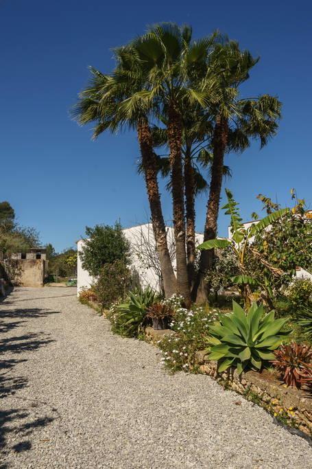 Can Beia Rural House Ibiza Nuestra Señora de Jesús Exterior foto